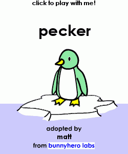 my pet!
