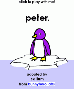 my pet!