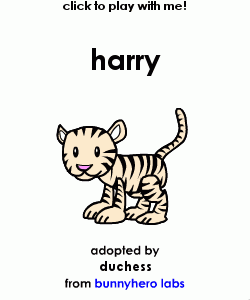 my pet!