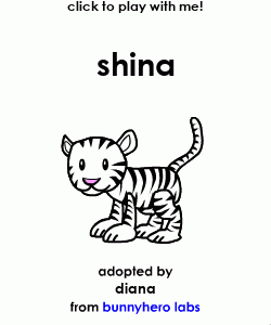 my pet, shina!