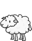 sheep!